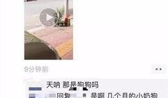 网友爆料男子被打死视频,网友爆料视频引发社会关注